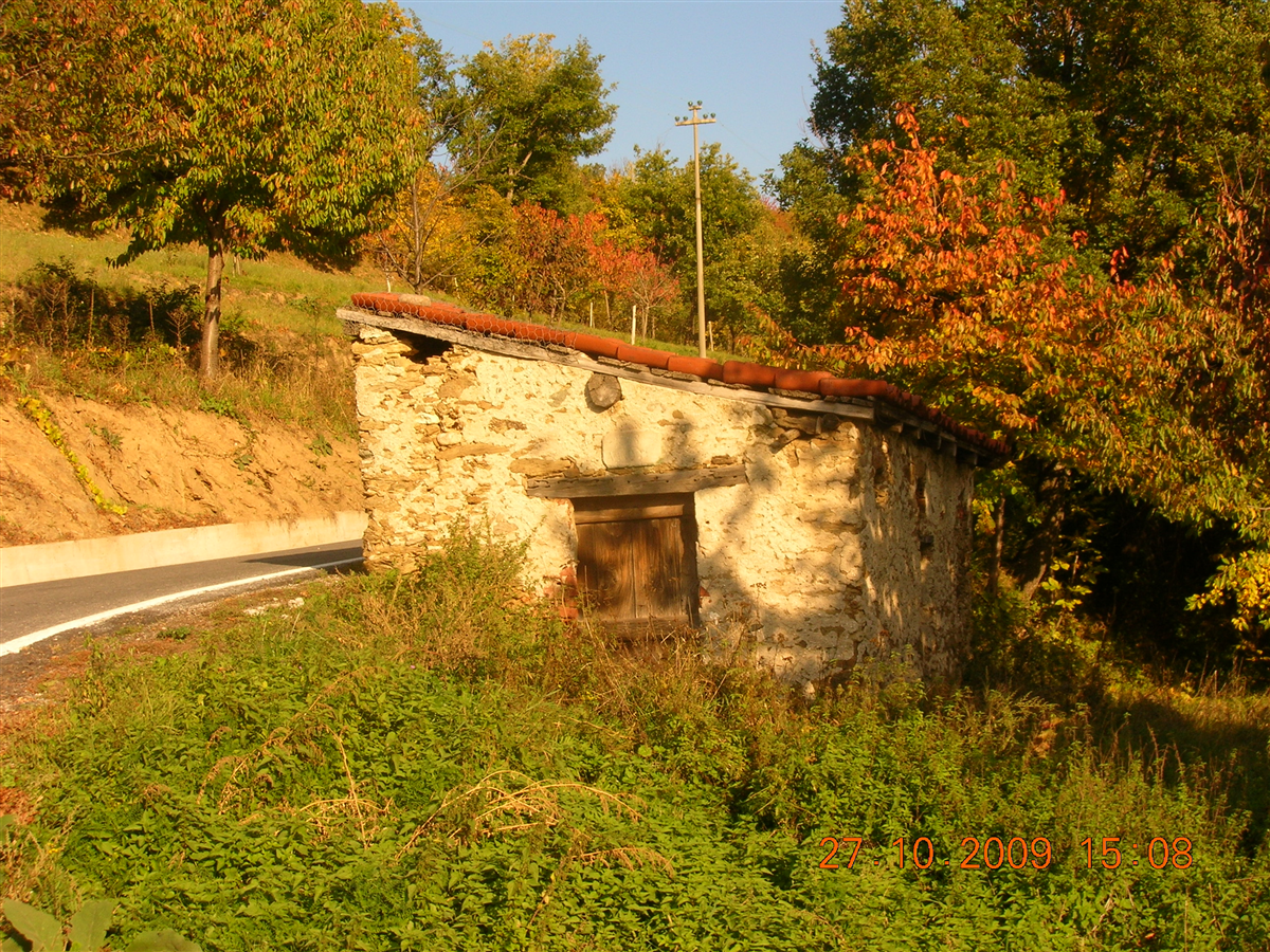 Priola