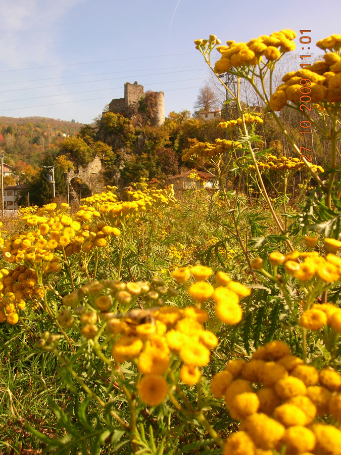 Castello